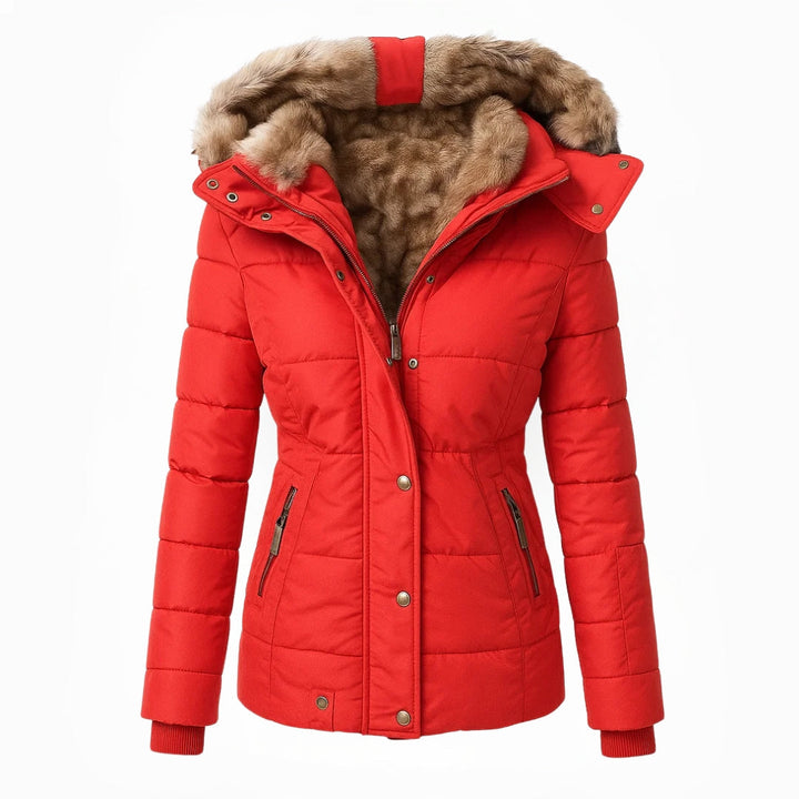 Comfortable Winter Coat/Jacket